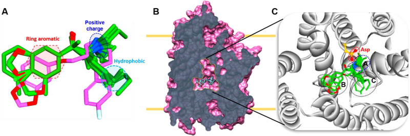 Figure 4.