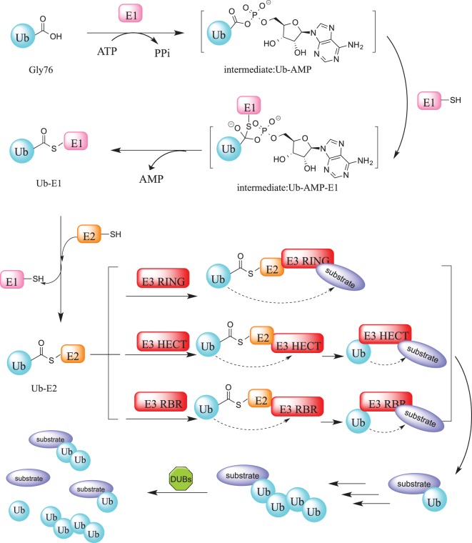 Figure 1.