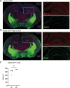 Figure 3—figure supplement 1.