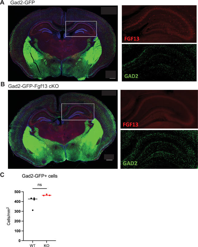 Figure 3—figure supplement 1.