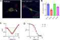 Figure 2—figure supplement 2.