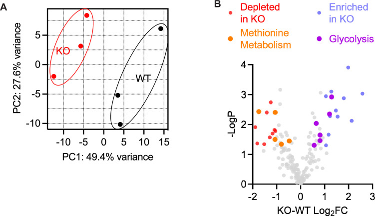 Figure 3—figure supplement 3.