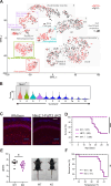 Figure 3—figure supplement 4.