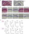 Figure 3—figure supplement 2.