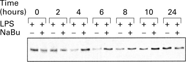 Figure 5  