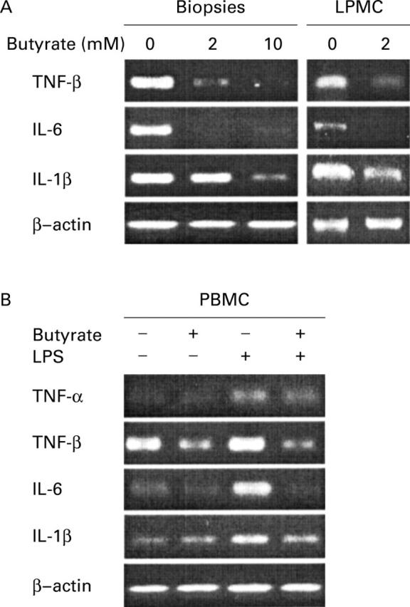 Figure 2  