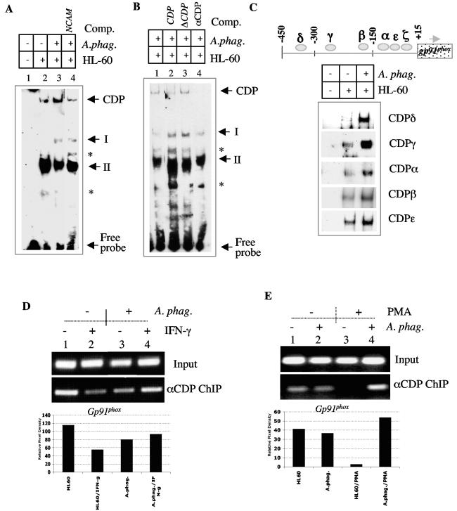 FIG. 7.