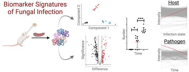 graphic file with name js3c00114_0010.jpg