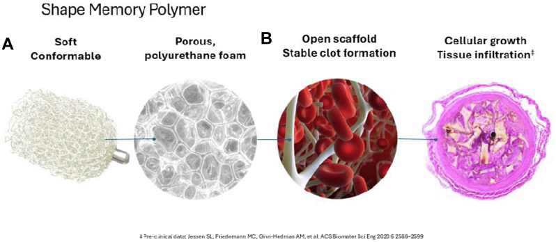 Fig 1