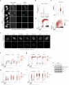 Extended Data Fig. 6