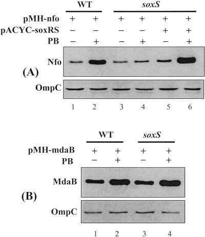 FIG. 7.