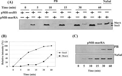 FIG. 6.