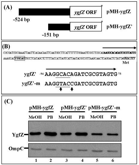 FIG. 5.