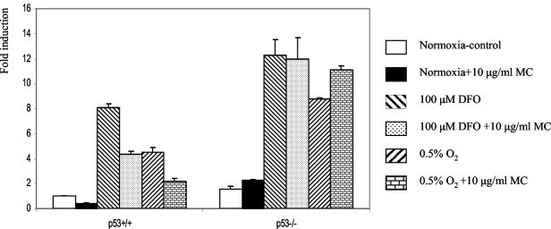 FIG. 6.