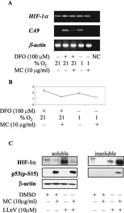 FIG. 5.