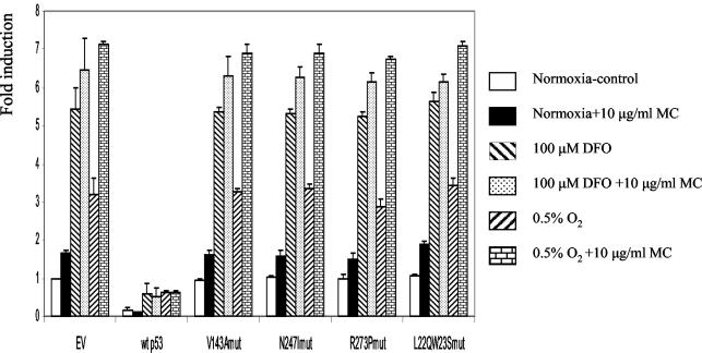 FIG. 8.