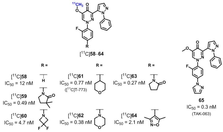 Figure 13