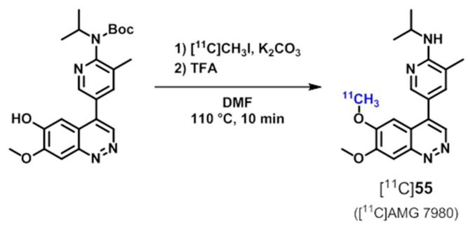 Scheme 17