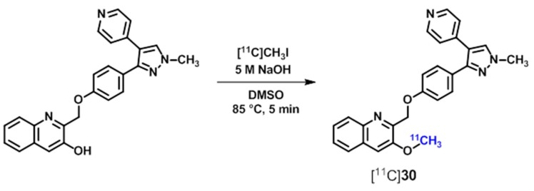 Scheme 10