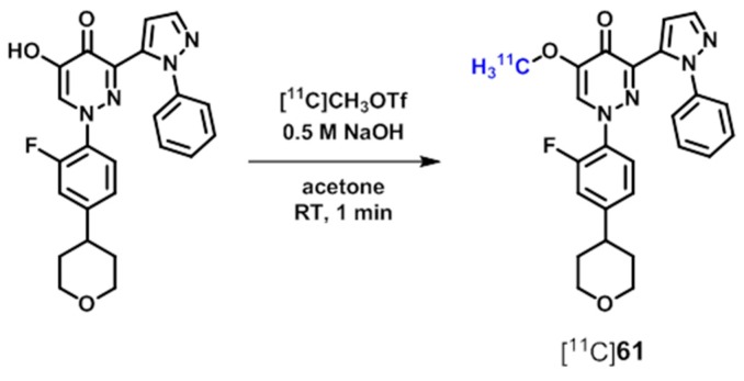 Scheme 19