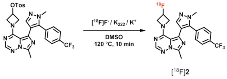 Scheme 2