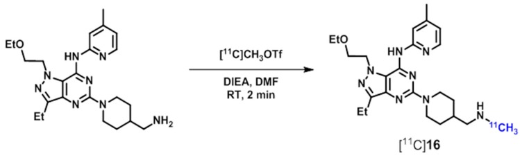 Scheme 6