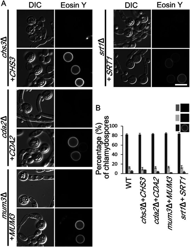 FIG 5