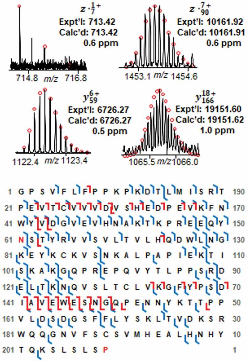 Figure 6.