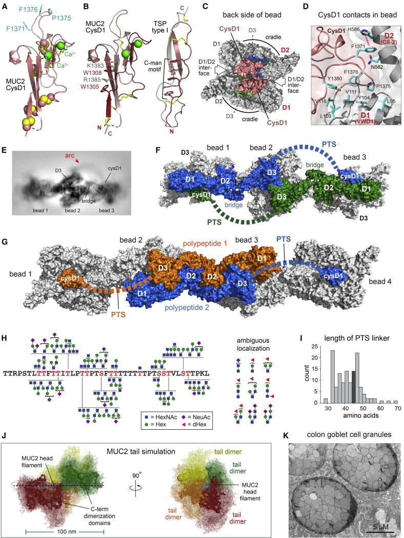 Figure 6