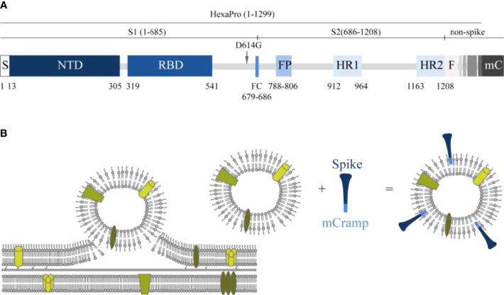 Figure 1