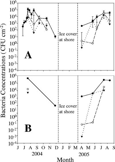 FIG. 2.