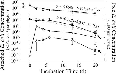 FIG. 5.