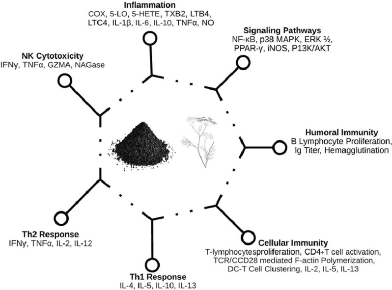 Image, graphical abstract