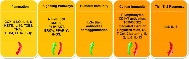 Fig. 3: