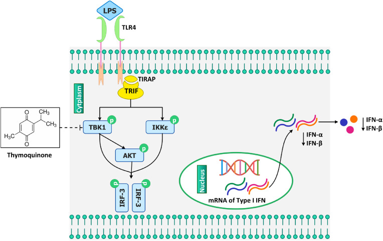 Fig. 4: