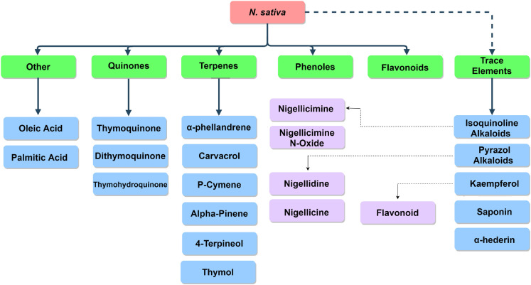 Fig. 1: