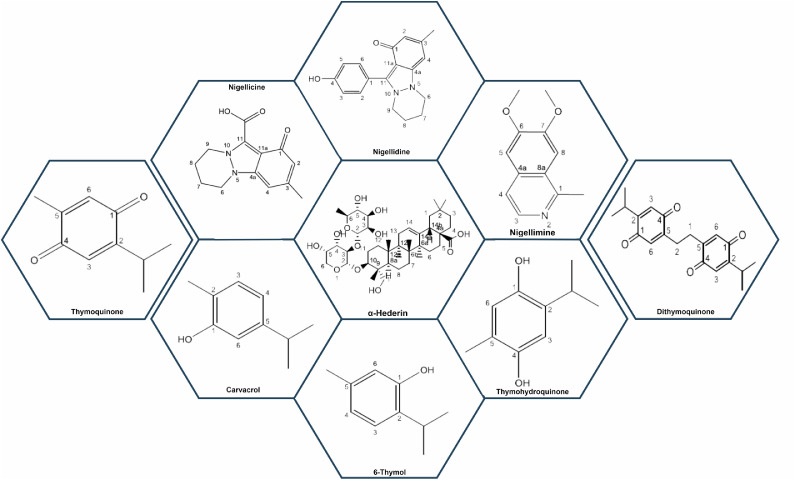 Fig. 2: