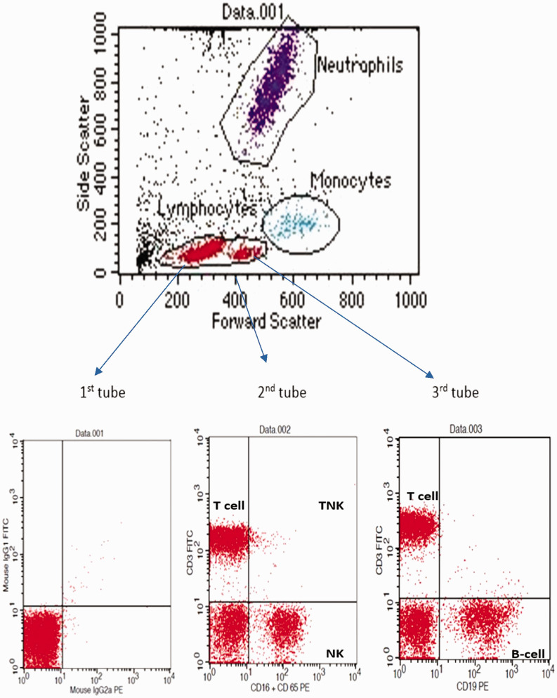 Figure 1.