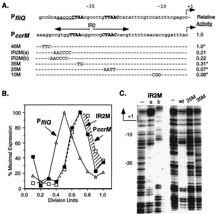 FIG. 6