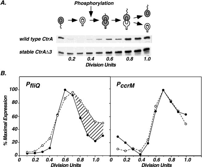 FIG. 7