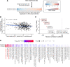 Figure 5. MYC activity correlates with TOP1 inhibitor response in cancer cells. A, Schematic of pipeline to generate MYC target gene enrichment scores in 1,406 cancer cell lines annotated in the CCLE using single-sample GSEAs. Columns are sorted by aggregate row means from low to high. B, Pearson correlation analysis between ssGSEA scores for “HALLMARK MYC TARGETS V1” and topotecan response from the PRISM drug repurposing library. Data points represent cancer cell lines. Gray, SE of linear regression model. C, Pearson correlation coefficient values between drug response and MYC signature enrichment scores in cancer cell lines for each drug shown. Red, TOP1 inhibitors. P values were adjusted for FDR using the Holm–Bonferroni method. D, Bubble plot showing Pearson correlation coefficient values between ssGSEA scores for all HALLMARK gene sets and TOP1 inhibitor drug response by size. P values were adjusted for FDR using the Holm–Bonferroni method and visualized by color.