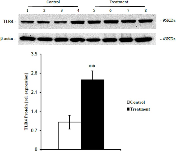 Fig 4