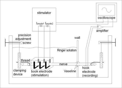 Fig 4.