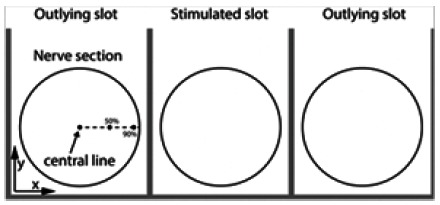 Fig 3.