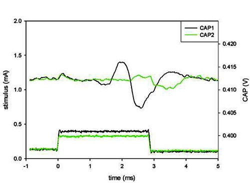 Fig 6.