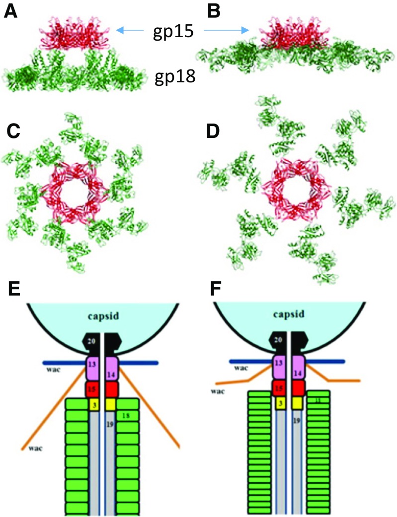 Fig. 11