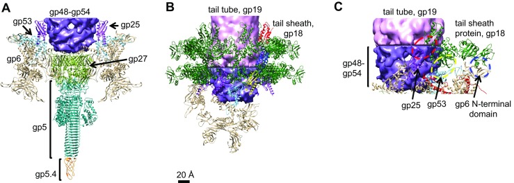 Fig. 4