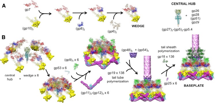 Fig. 1