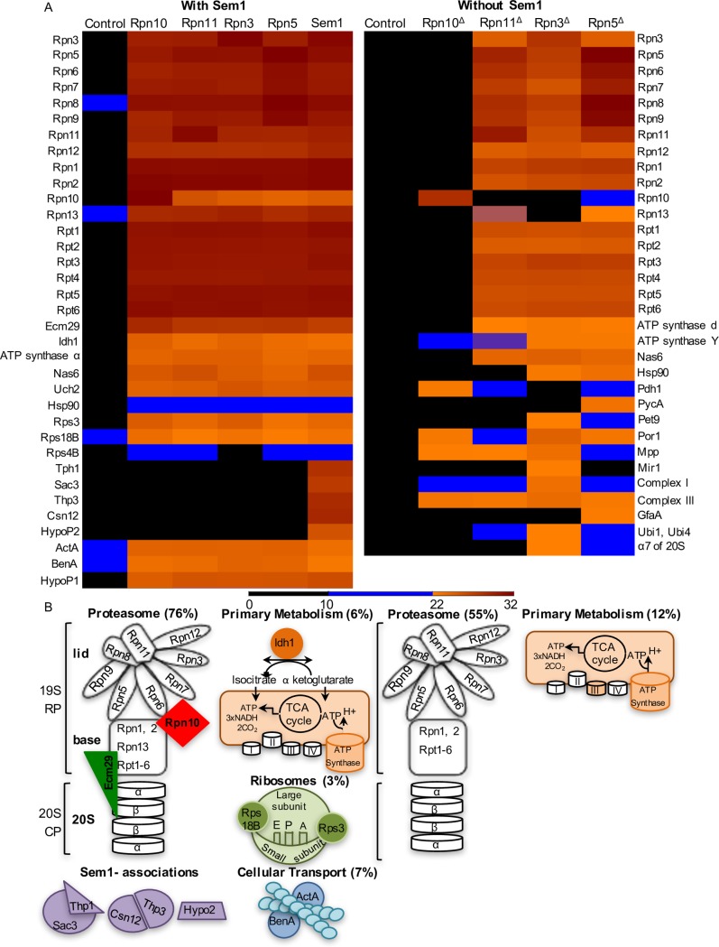 Fig 5