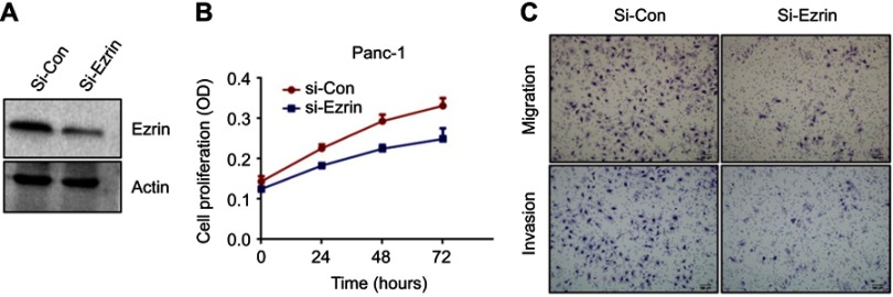 Figure S1